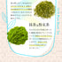 冷萃綠茶茶包 5g x 50p